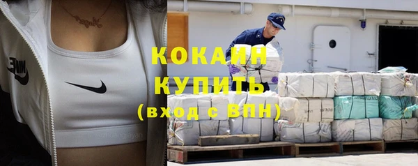 шишки Аркадак