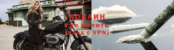 шишки Аркадак