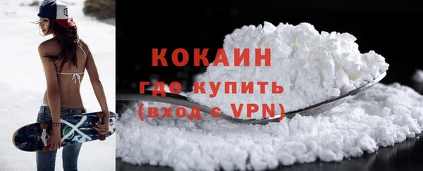 шишки Аркадак