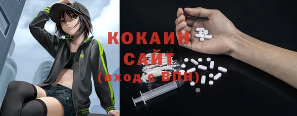 индика Армянск