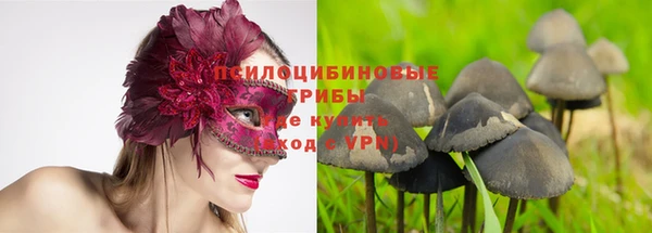 индика Армянск