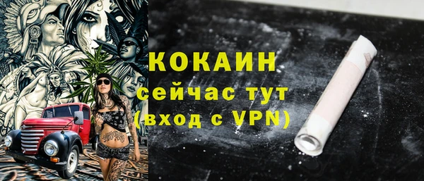индика Армянск