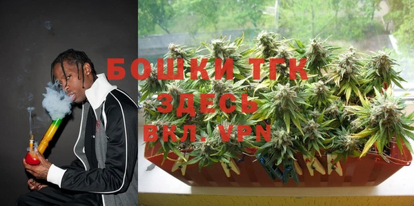 экстази Арсеньев