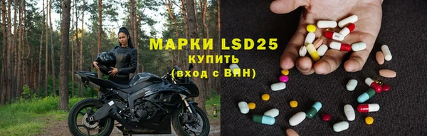 шишки Аркадак
