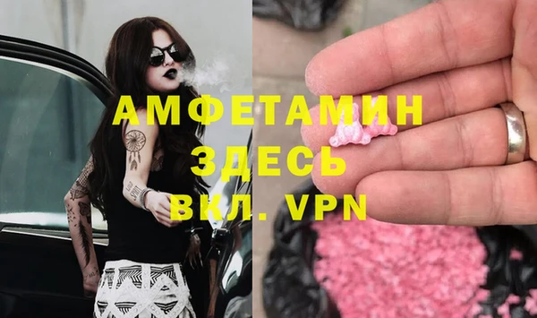 индика Армянск