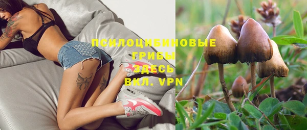 индика Армянск