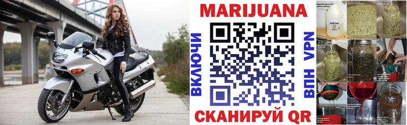купить наркотик  ОМГ ОМГ ссылки  Бошки марихуана планчик  Спас-Деменск 